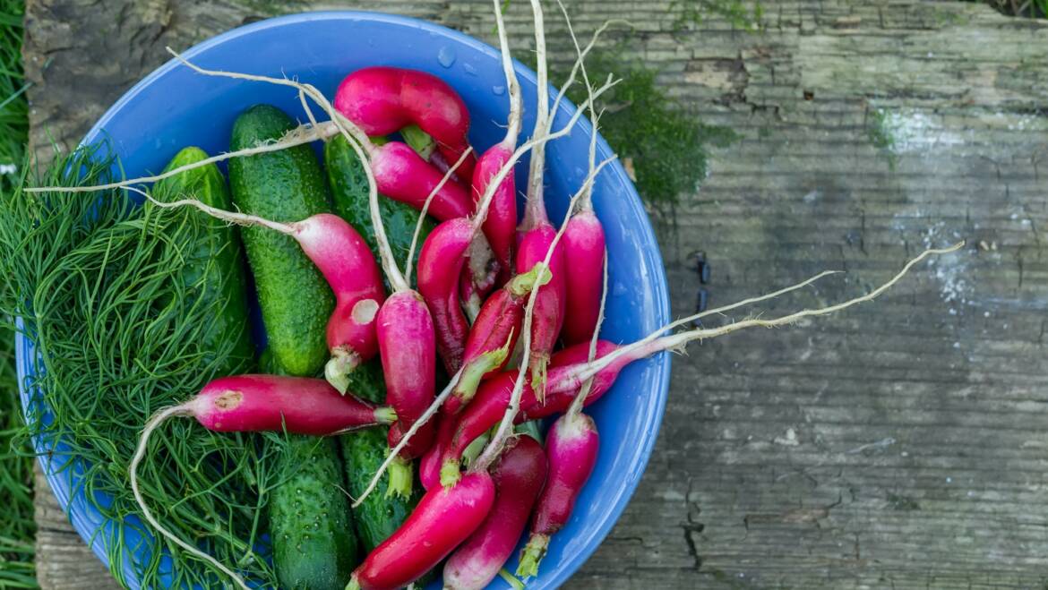 Share Your Juice Garden!