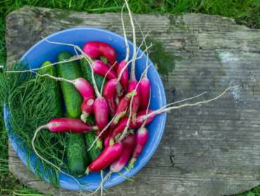 Share Your Juice Garden!