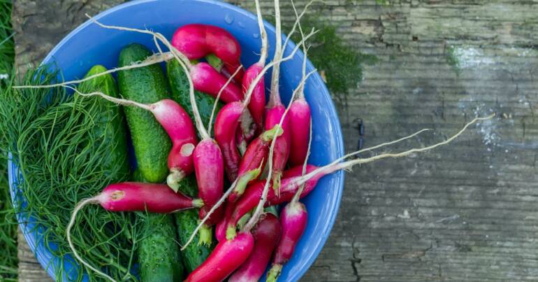 Share Your Juice Garden!